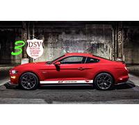 Stripe Decal Graphic Stickers Kit Compatible with Ford Mustang