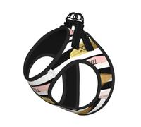 Stripe Don'T Kill My Vibe Pet Leash Vest For Small Dogs Cats Reflective Adjustable Soft Outdoor Walking Hiking Training