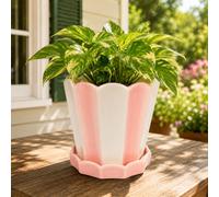 Stripe Planter on Plate - Premium Ceramic Plant Pot, Modern Decorative Flower Pot for Indoor Outdoor Use, Durable Drainage Design, Ideal for Succulents, Herbs & Home Office Decor A123 (Pink)