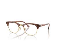 Striped Brown / 53