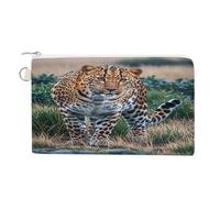 Striped Leopard Coin Purse Coin Pouch with Zipper for Men Women Portable Change Wallet Canvas Coin Bag