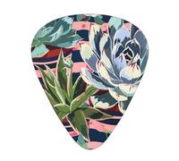 Striped succulents Printed Guitar Picks 12-Piece Set - Comfortable, Versatile Plectrum for All Guitar Styles & Players