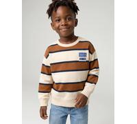 Striped sweatshirt with crew neck for boys hazel