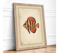 Striped Tropical Fish Vintage Framed Wall Art Print A3 (42×29.7cm) Oak, Wall Decor for Living Room, Bedroom, Office & Home, Ready to Hang, Art Gift