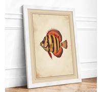 Striped Tropical Fish Vintage Framed Wall Art Print A3 (42×29.7cm) White, Wall Decor for Living Room, Bedroom, Office & Home, Ready to Hang, Art Gift