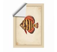 Striped Tropical Fish Vintage Unframed Wall Art Print A3 (42×29.7cm), Wall Decor for Living Room, Bedroom, Office & Home, Art Gift