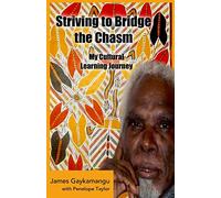 Striving to Bridge the Chasm: My Cultural Learning Journey