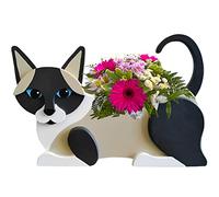 strolfay Cat Flower Planter Gifts for Women,Cute PVC Cat Planters,Flower Pots Indoor Outdoor,Garden Planter for Birthday,Office,Pet Lovers 12.5 * 5.6 * 7.8in(Siamese Cat)