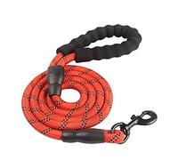 Strong Dog Leash Nylon Round Rope with Comfortable Padded Handle and Highly Reflective Threads for Pets