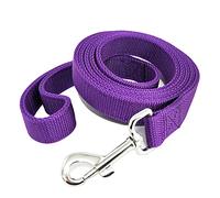 Strong Durable Nylon Dog Leash with 2-Layer, 4 FT/ 6 Feet Long, 1 Inch Wide for Medium Large Dogs (1'' x 5 FT, Purple)