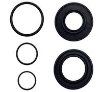 Strongthium 691876 691870 495307S O-Ring Seal & Oil Seal Set Replacement for Briggs & Stratton Engines Toro Craftsman Cub Cadet MTD Troy-Bilt White Outdoor Murray Lawn Tractor Mower Snowblower