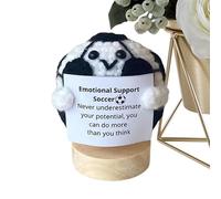 Stronrive Motivational Support Crochet | Inspirational Handmade Knitted Ball | Motivational Support Crochet Ball with Inspirational Quote for Home, Workplace, Housewarming, Desktop