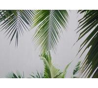STROXTH WALLPAPER Photo Wallpaper 3D Tropical Rainforest Leaves 150cmx105cm Modern Minimalist Green Banana Leaves Indoor Wall Decoration Giant Poster Mural
