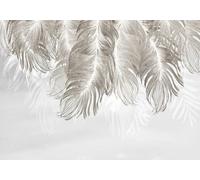 STROXTH WALLPAPER Photo Wallpaper wallcovering 300cmx210cm Feathers Minimalist Hand-Painted Grey-White Giant Feathered Leaves Background Wall Paper Wall Mural