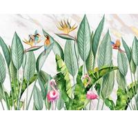 STROXTH WALLPAPER Photo Wallpaper wallcovering 430cmx300cm Medieval Medieval Tropical Rainforest Green Plants and Birds Paper Wall Mural