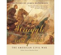 Struggle for a vast future: The American Civil War