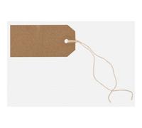 Strung Paper Tags Box of 1000 - Durable Pre-Strung Label Tags with String for Retail Pricing, Stock Control and stotage (82 x 41 mm)