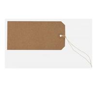 Strung Paper Tags Box of 1000 - Durable Pre-Strung Label Tags with String for Retail Pricing, Stock Control and stotage (120 X 60 mm)