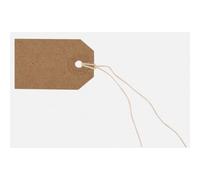 Strung Paper Tags Box of 1000 - Durable Pre-Strung Label Tags with String for Retail Pricing, Stock Control and stotage (54 x 29 mm)