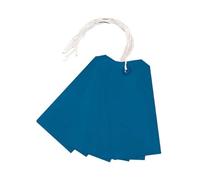 Strung Swing Tags 120 × 60 mm - 50 Pack Paper Hanging Tags with String for Pricing, Labelling, Retail & Warehouse Use (Blue)