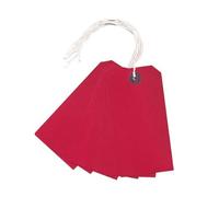 Strung Swing Tags 120 × 60 mm - 50 Pack Paper Hanging Tags with String for Pricing, Labelling, Retail & Warehouse Use (Red)