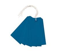 Strung Tag 120x60mm Blue (1000 Pack) KF01625