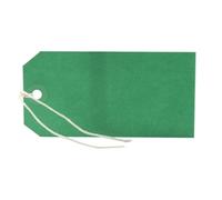 Strung Tag 120x60mm Green (1000 Pack) KF01624