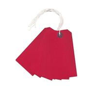 Tag Labels Strung Bulk Boxes Red [Pack 1000]