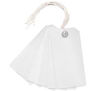 Strung Tag 120x60mm White (1000 Pack) KF01623