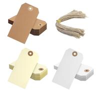 Strung Tags Reinforced Card Clothing Parcel Label String Hanging Gift Swing Tickets Hang Price Labelling 120mm x 60mm (Pack of 120)