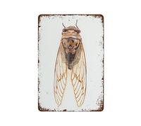 Strunt Cicada Art Insect S Cicada Entomologist Gifts Taxidermy Gallery Wall Art Retro Plaque Wall Decor Art Tin Sign for Home Office Room Coffee Bar Beer Pub Classroom 8x12inch