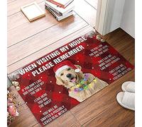 Strunt Door Mat Indoor Christmas Golden Retriever Please Remember Dog'S House Rules Red Version Doormat,Christmas Golden Dog Lovers Home Decorative Welcome Doormat 50x80cm
