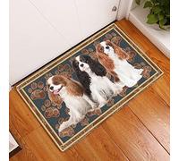 Strunt Door Mats Outdoor Cavalier King Charles Spaniel Flower Paws Printed Doormat,Novelty Flannel Floor Mat With Non-Slip Doormat,Housewarming Decor Gift For Dog Lovers Welcome Doormat 50x80cm