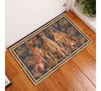 Strunt Door Mats Outdoor Rhodesian Ridgeback Flower Paws Printed Doormat,Novelty Flannel Floor Mat With Non-Slip Doormat,Housewarming Decor Gift For Dog Lovers Welcome Doormat 40x60cm