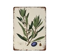 Strunt Olive Branch Vintage Botanical Framed Modern Wall Art Print Minimalist Design Retro Nature P Metal Tin Sign Wall Quote Bathroom Living Room Home Decor Gym Gift For Friends Lady Family 8x12inch