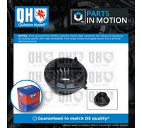Strut Anti Friction Bearing Front QAM169 Quinton Hazell Mount Suspension 1428597