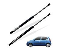 StrutEXPERTS Tailgate Gas Struts (Set of Two) for Hyundai i10 (2007 - 2013) Hatchback | Rear Boot Gas Lift Struts | Easy Installation | OE-Quality Gas Springs