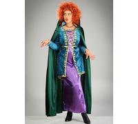 Struts Adult Size Hocus Pocus Style Green Winifred Witch Costume (Medium (UK 10-12))