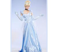 Struts Adult Womens Deluxe Long Blue Princess Cinderella Costume (Large (UK 12-14))