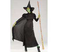 Struts Adult Womens Elphaba Style Wicked Witch Costume (Medium (UK 12-14))