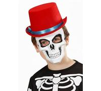 Struts Kids Size Funnybones Style Red Top Hat with Blue Band Book Character Fancy Dress