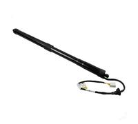 Struts Shocks Pair Rear Trunk Liftgate Power Hatch Lift Support Opener For 2019-2022 For Toyota For RAV4 For RAV-4 Electric Tailgate Gas Struts 6891042060 Gas Spring(Rear Right Tailgate)