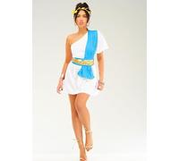 Struts Womens Roman Toga Fancy Dress Costume (Medium (UK 12-14))