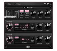 Strymon DIG