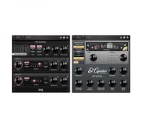 Strymon Echo Bundle