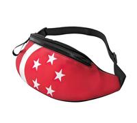 sttung Singapore Flag Print All-in-One Waist Pack for Hiking,Travel and Running Enthusiasts
