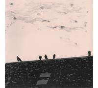 STUART A. STAPLES - ARRHYTHMIA [VINYL]