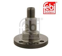 Stub Axle, axle beam FEBI BILSTEIN 30501 For SEAT, AUDI, SKODA, VW