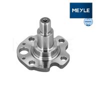Stub Axle, axle beam MEYLE 100 501 0029 For VW, SEAT, AUDI, SKODA