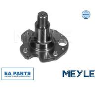 Stub Axle, wheel suspension for AUDI A3 TT MEYLE 100 501 0029 fits Rear Axle